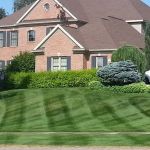 Timmer Lawn & Snow LLC