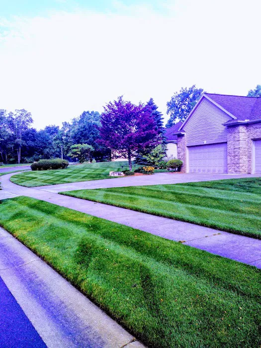 Timmer Lawn & Snow LLC Picture 8