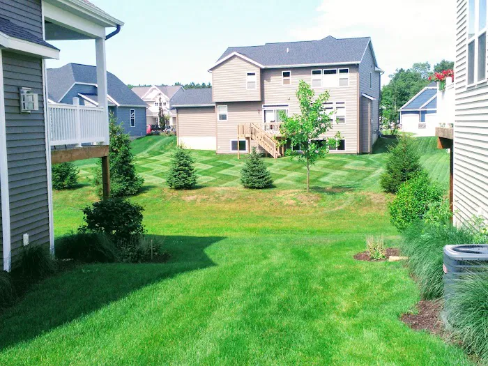 Timmer Lawn & Snow LLC Picture 10