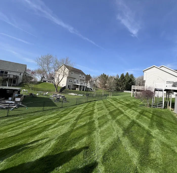 Crain's Lawn & Landscape Picture 3