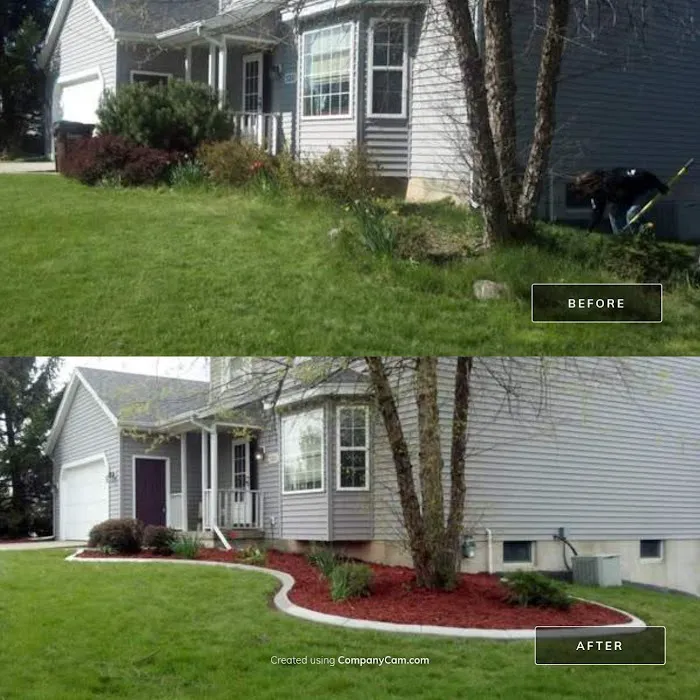 MJR Landscape Picture 5
