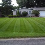 Habit Turf Maintenance