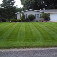 Habit Turf Maintenance ico