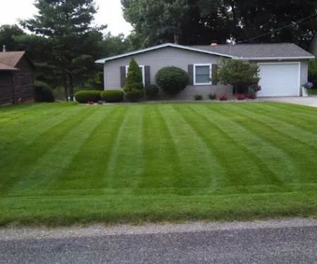 Habit Turf Maintenance