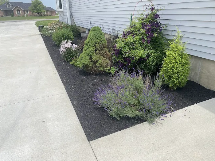 Darin Warfield Lawn & Landscape Picture 6