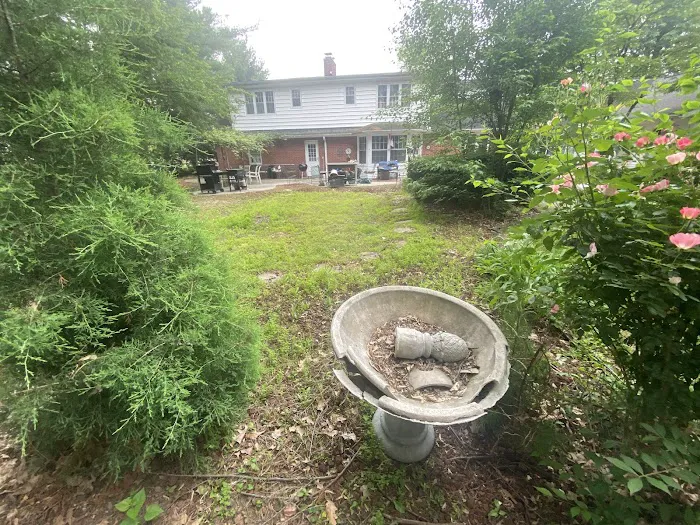 Darin Warfield Lawn & Landscape Picture 7