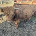 Muddy Acres Outdoor Solutions