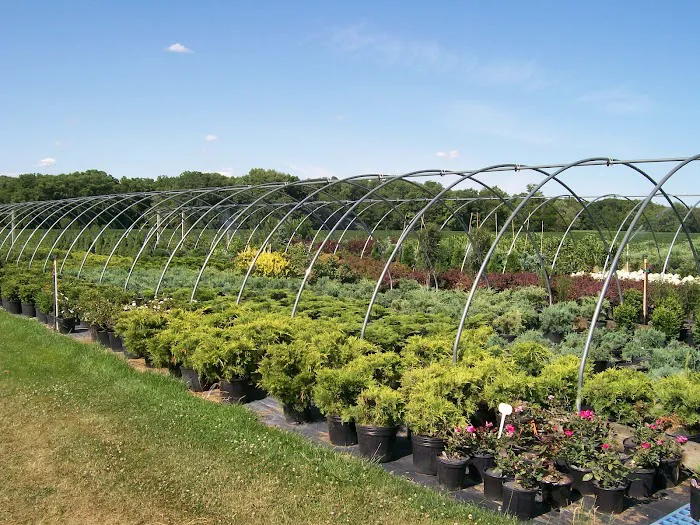 DeMuth Nursery Picture 5