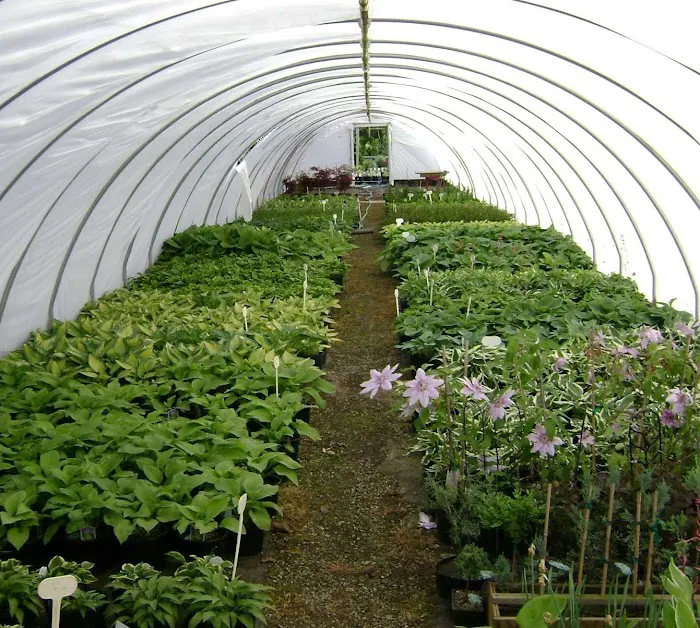 DeMuth Nursery Picture 3