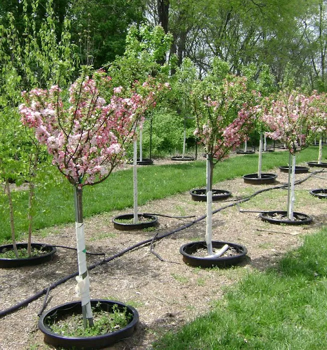 DeMuth Nursery Picture 2
