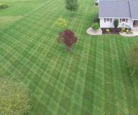 M&S Lawn and Landscape