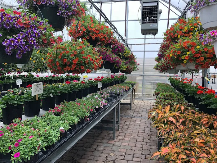 Village Green Floral and Garden Center Picture 3