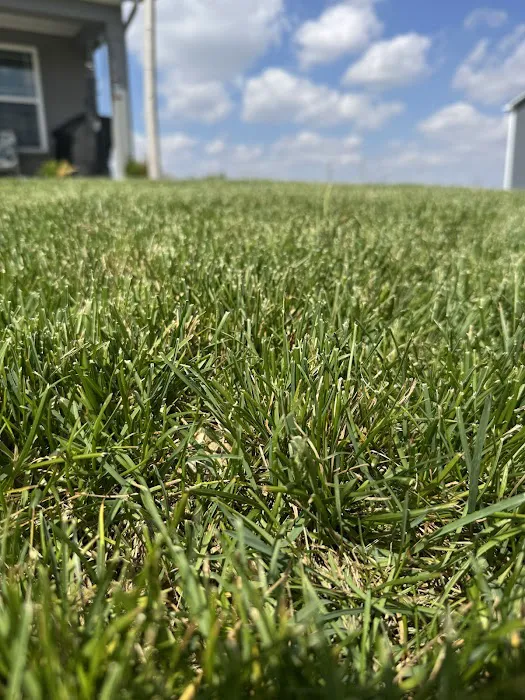 Sgt Majors Lawn Care Picture 10