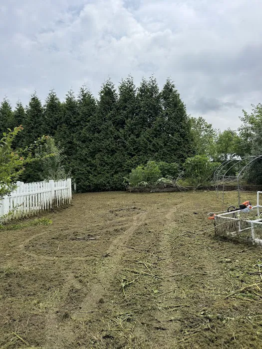 Sgt Majors Lawn Care Picture 6