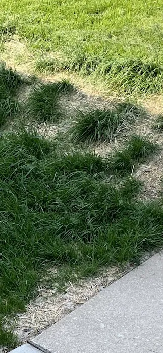 Rinehart's Lawn Care Landscaping & Snow Removal Picture 2