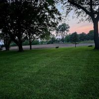 n2 lawns ico