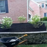 Indiana Landscape & Maintenance ico