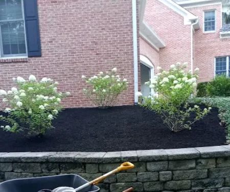 Indiana Landscape & Maintenance
