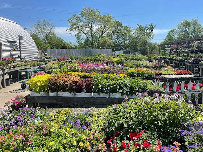 Shelby Landscaping and Garden Center Picture 2