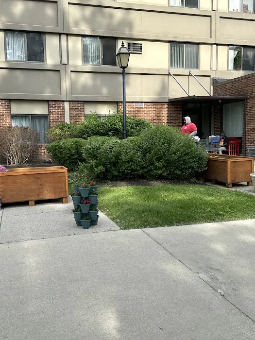 Premier Lawns Picture 1