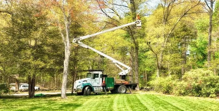 Adams Excavating Picture 4