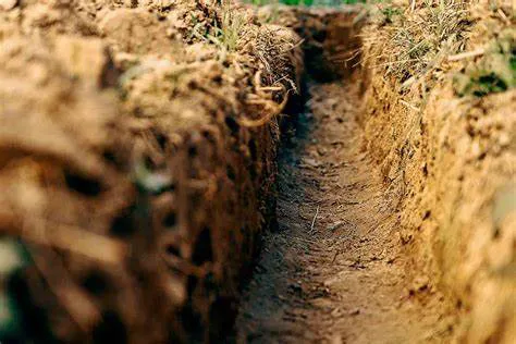 Adams Excavating Picture 6
