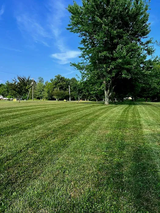 stardew mowing Picture 1