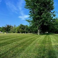 stardew mowing ico