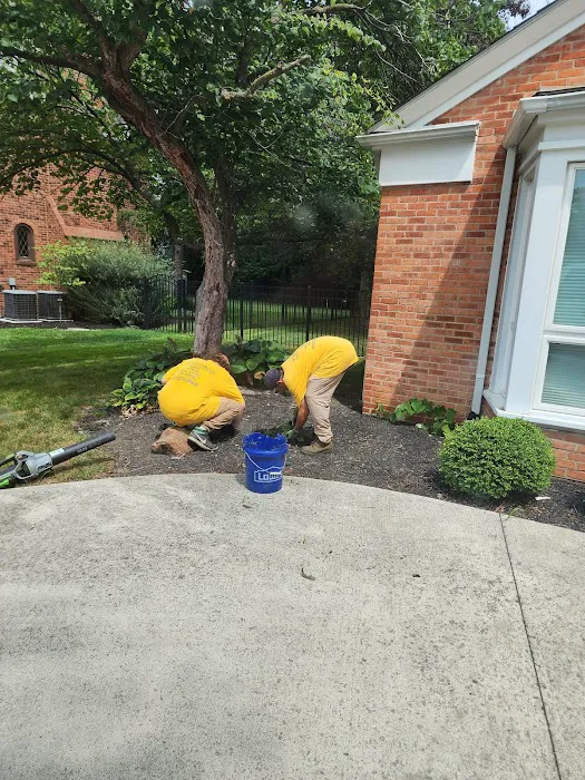 stardew mowing Picture 3