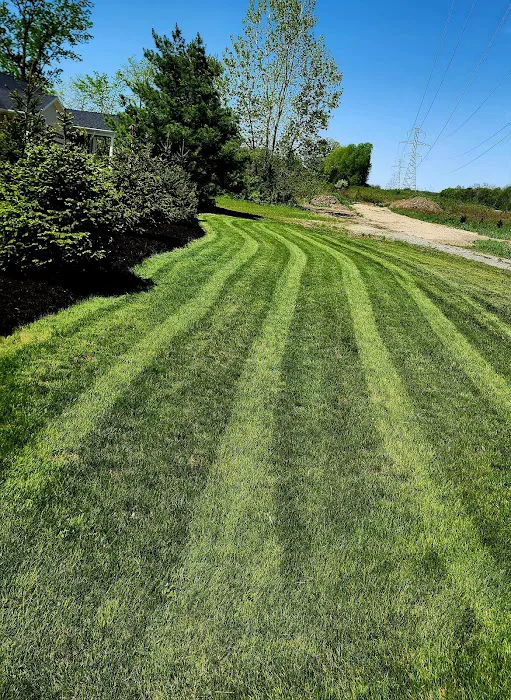 stardew mowing Picture 5