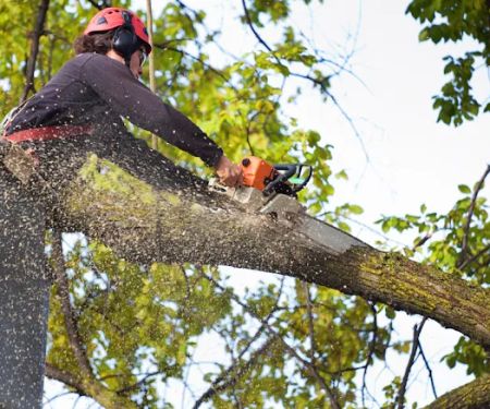 Westwood Tree Service