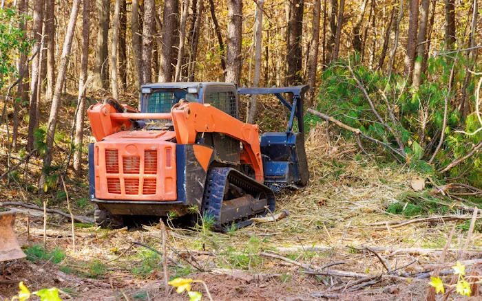 Westwood Tree Service Picture 5