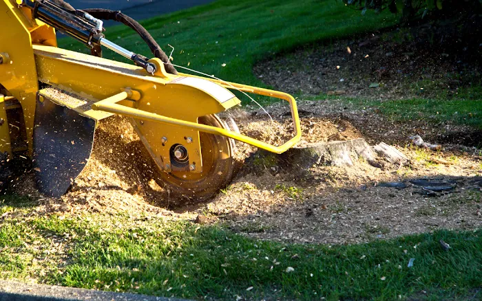 Westwood Tree Service Picture 7