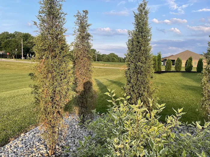 FSR Landscaping LLC Picture 5