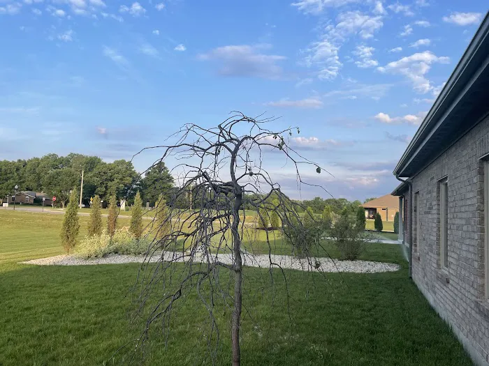 FSR Landscaping LLC Picture 1