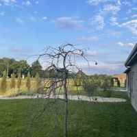 FSR Landscaping LLC ico
