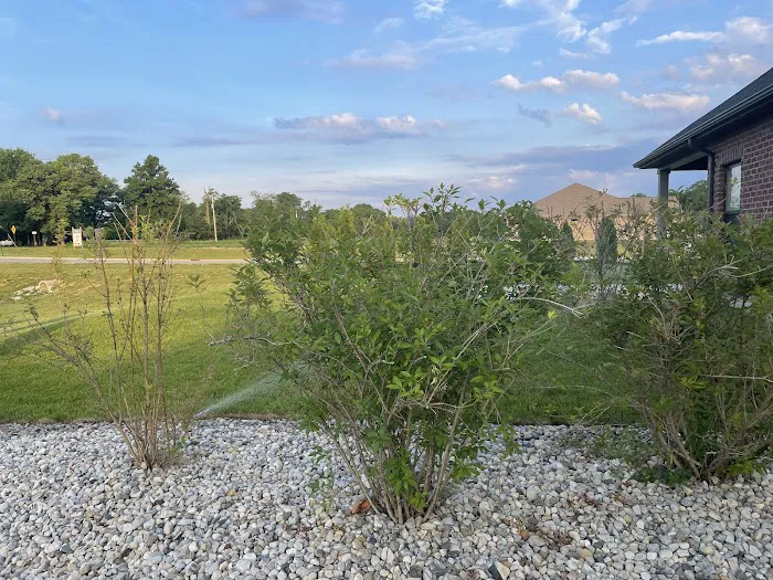 FSR Landscaping LLC Picture 9