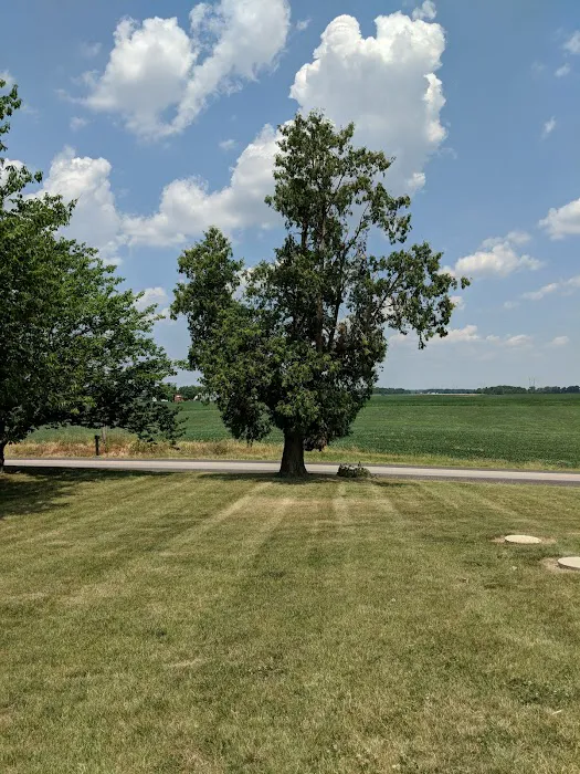 Dailey Lawncare LLC Picture 2