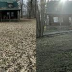 Dailey Lawncare LLC