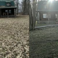 Dailey Lawncare LLC ico