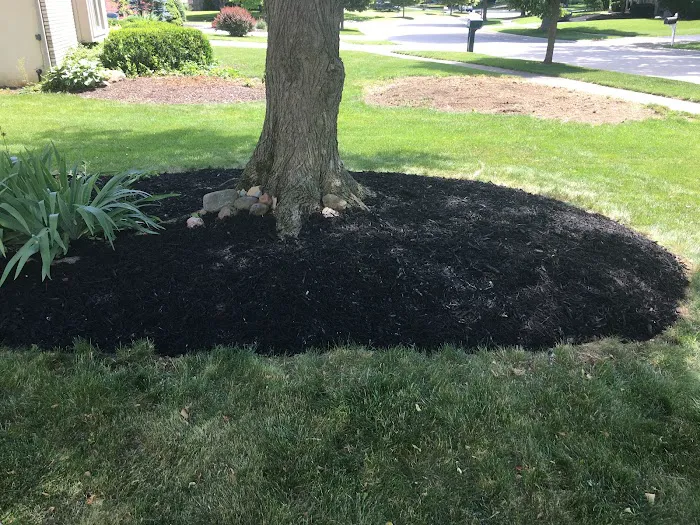 Blythe landscaping and property maintenance Picture 5