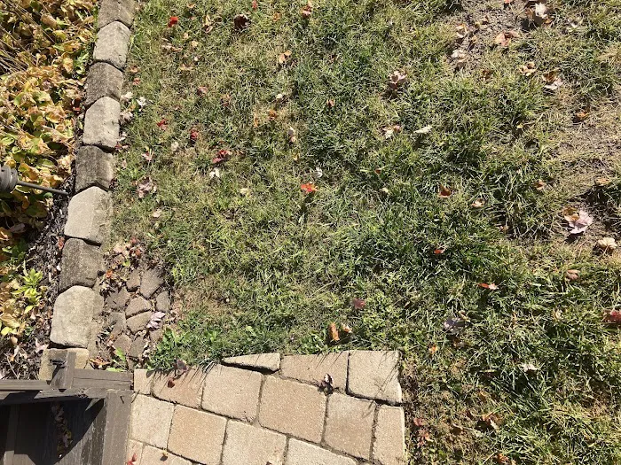 Blythe landscaping and property maintenance Picture 10