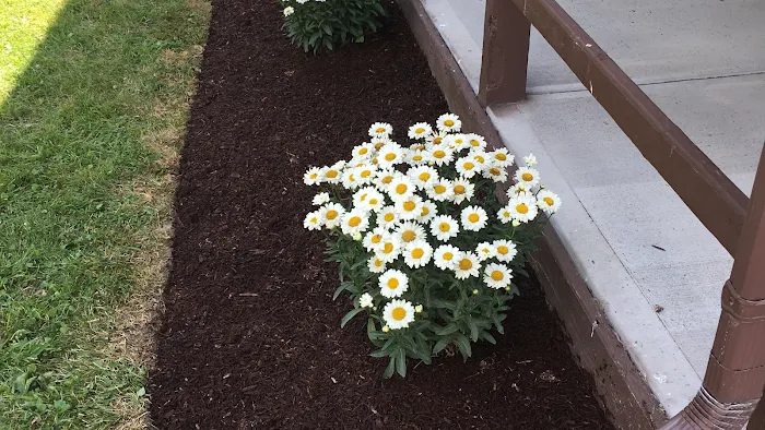 Blythe landscaping and property maintenance Picture 6