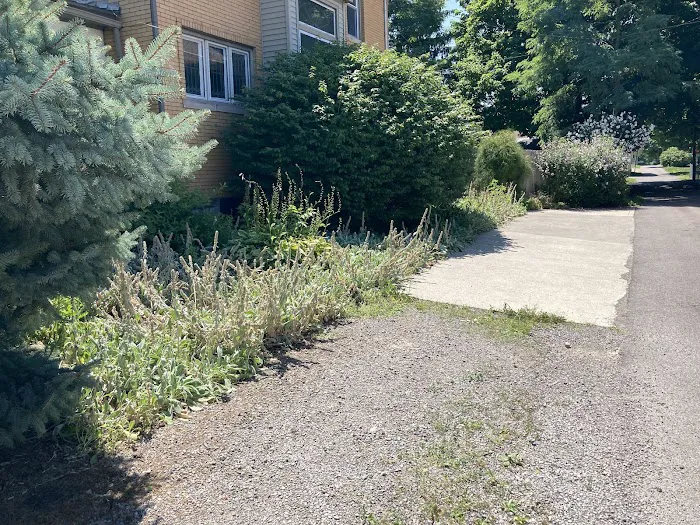Blythe landscaping and property maintenance Picture 1