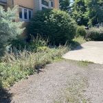 Blythe landscaping and property maintenance