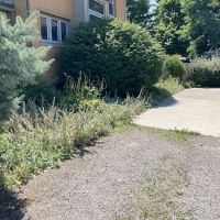Blythe landscaping and property maintenance ico