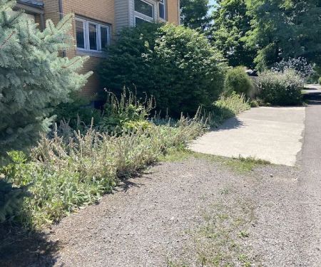 Blythe landscaping and property maintenance