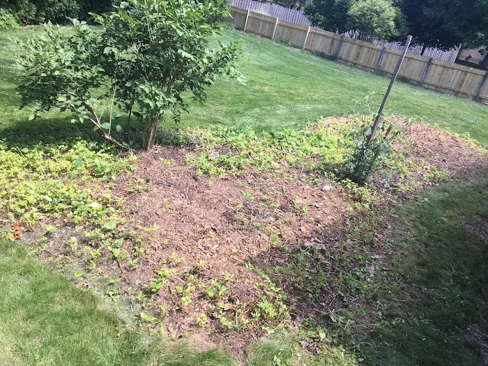 Blythe landscaping and property maintenance Picture 4