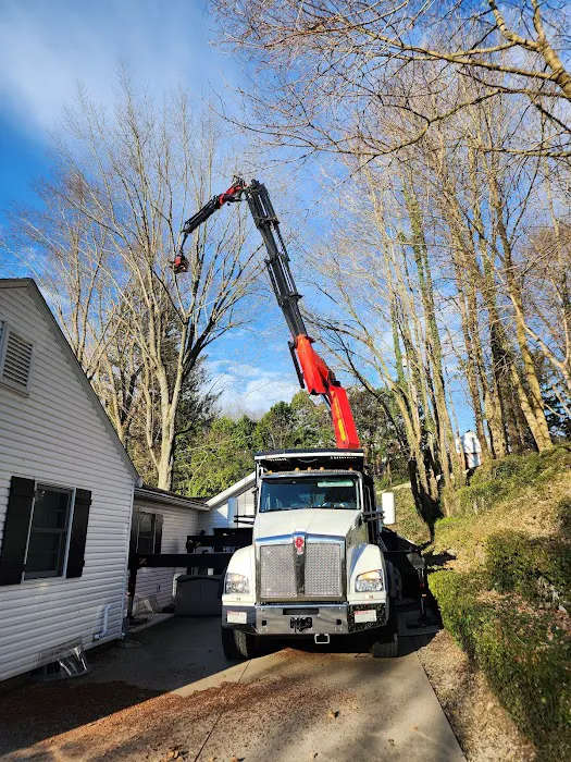American Tree And Lawn Services Picture 2
