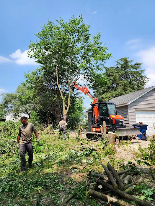 American Tree And Lawn Services Picture 5